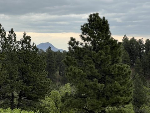 Land Parcel with Bear Butte Views