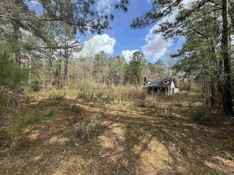 Land, Amite City, LA