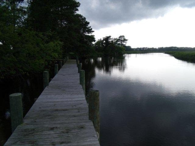 Picture 44