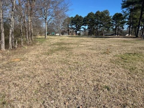 Land, Savannah, TN