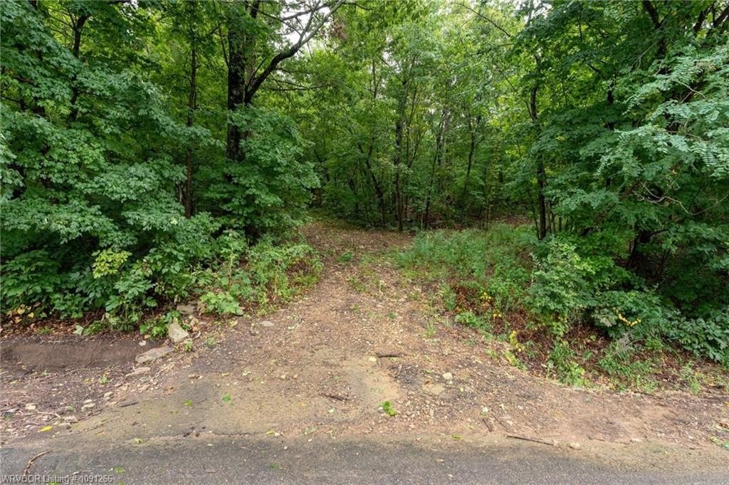 Picture 16