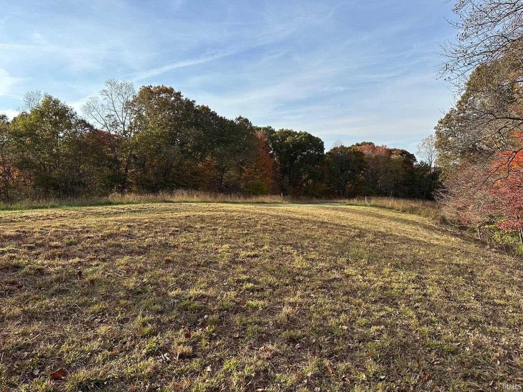 Picture 18