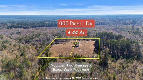 Cleared Land Near Saint George