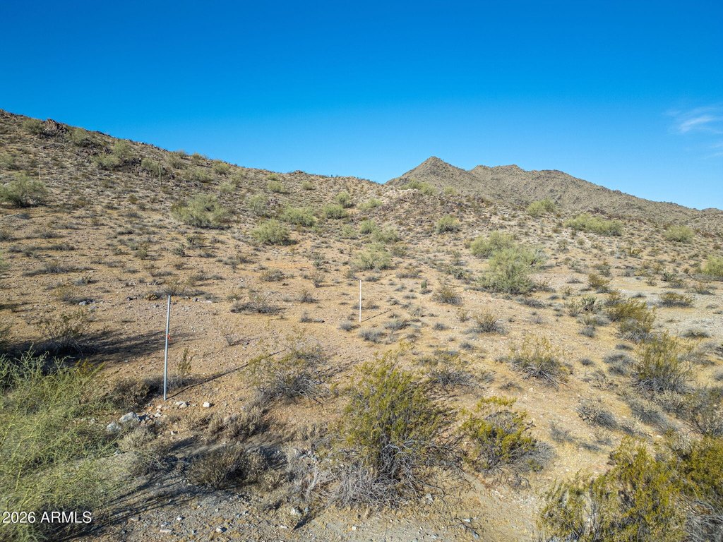 Picture 16