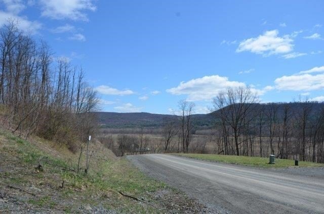 Picture 3