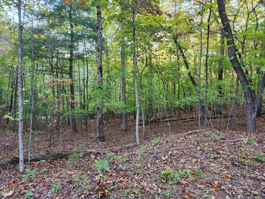 Vacant Lot in Mineral Bluff