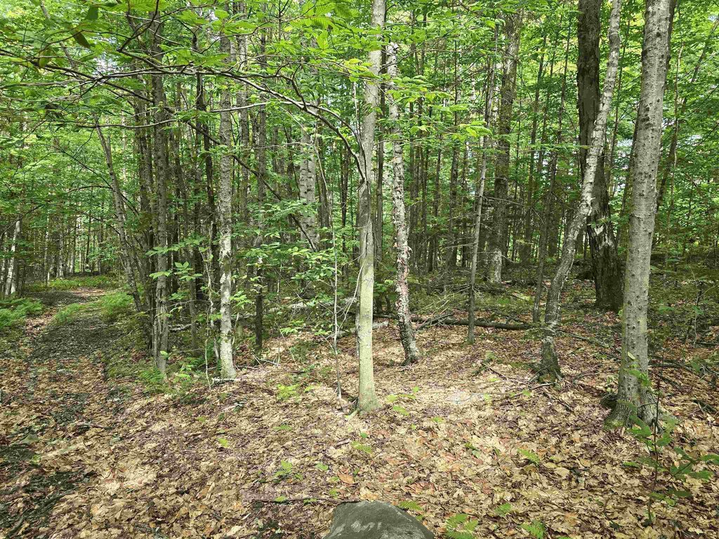 Picture 24