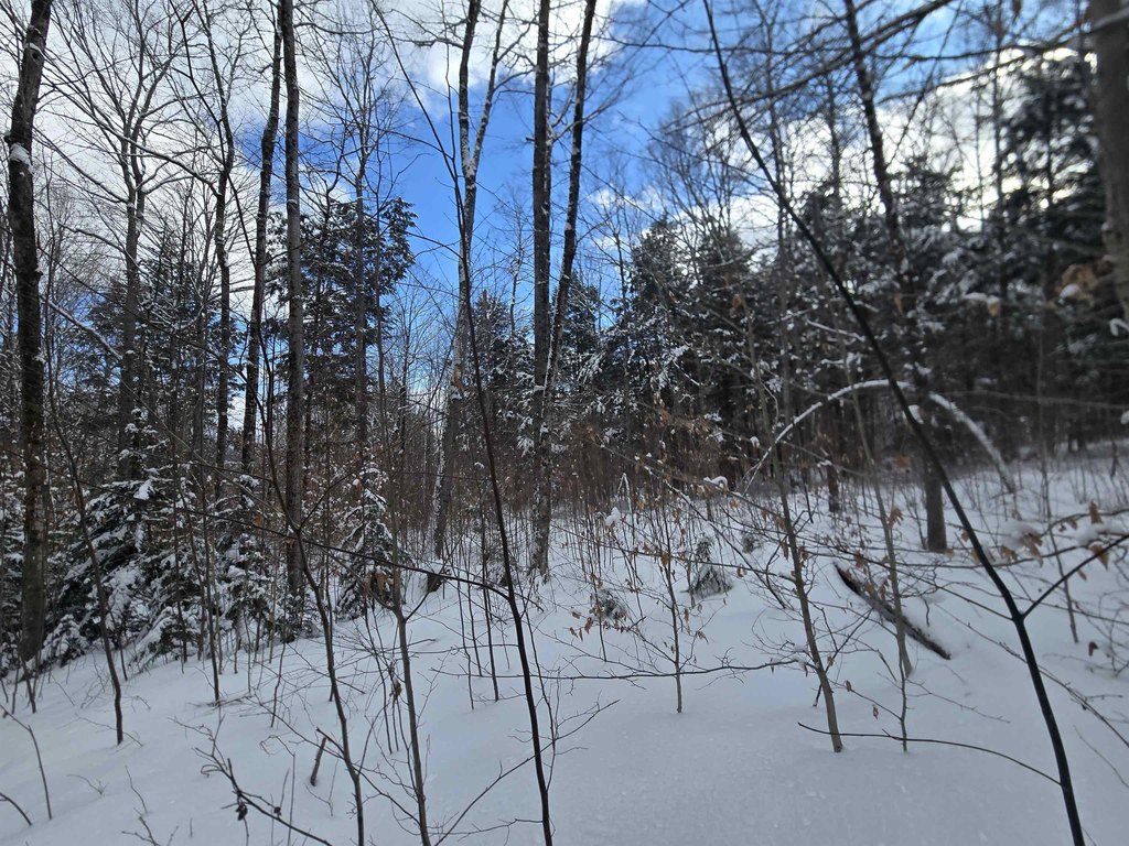 Picture 12