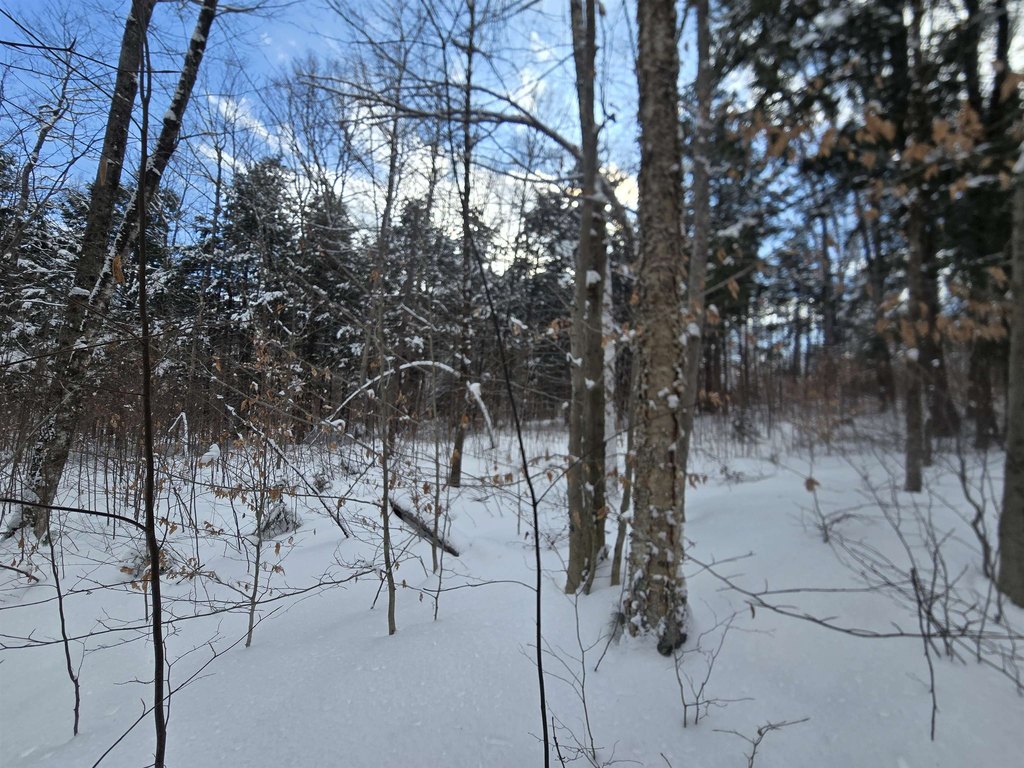 Picture 13