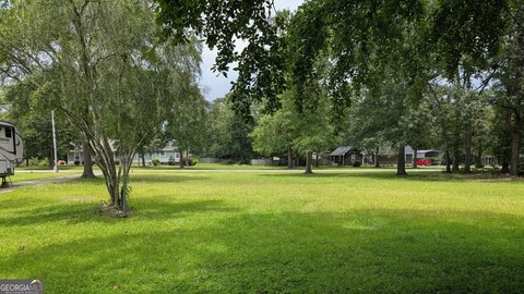 LAND - Hawkinsville, GA