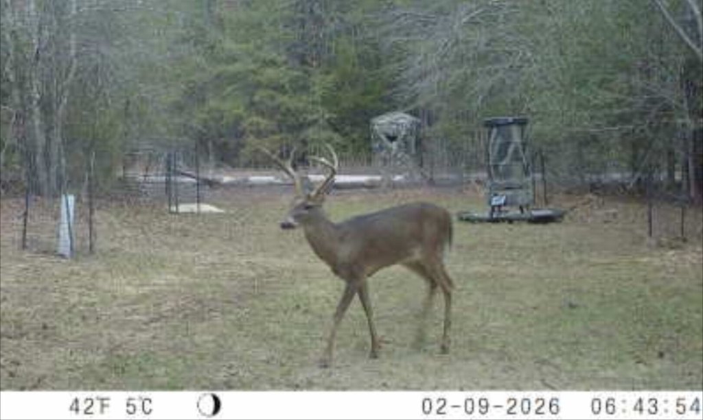 Picture 41