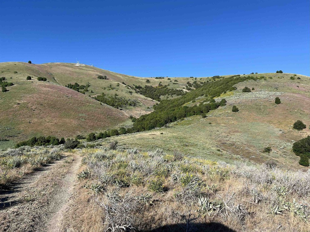 Picture 25