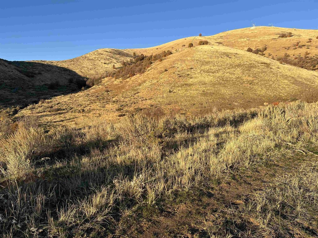 Picture 42