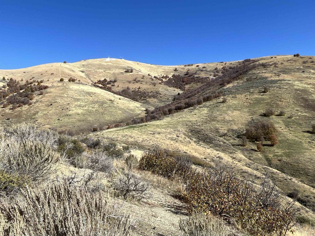 Picture 26