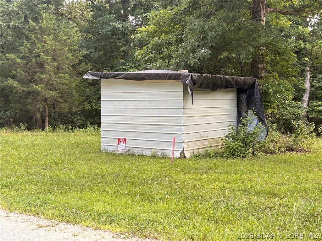 Picture 6
