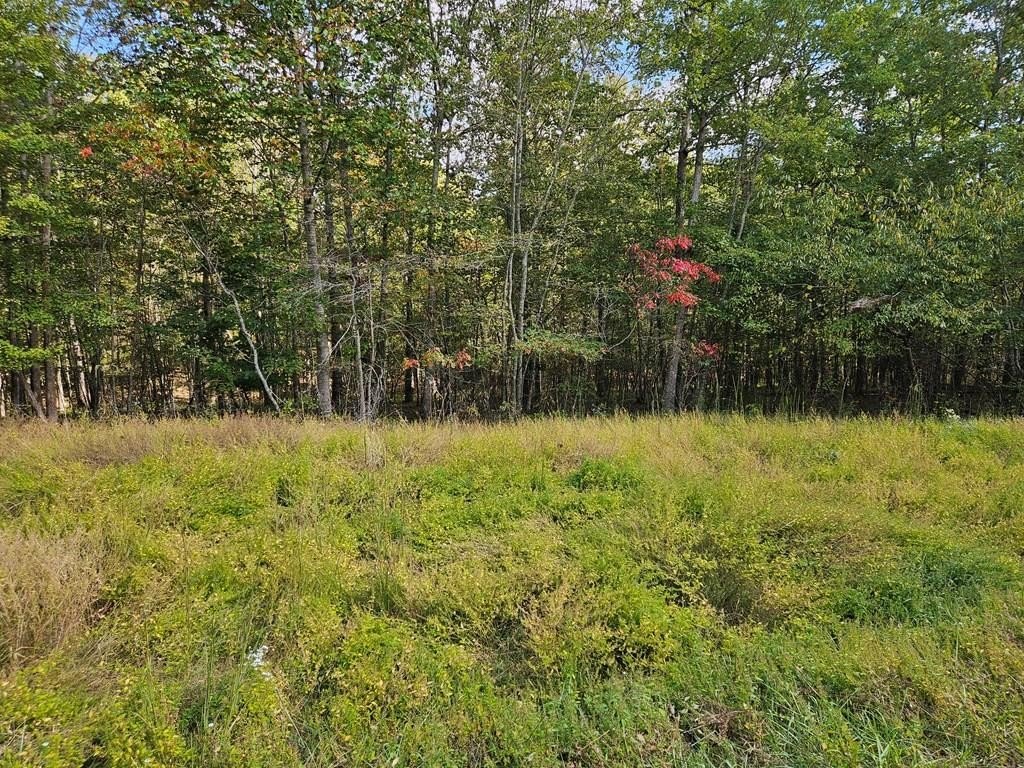 Land Near Fall Creek Falls