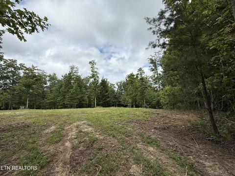 Partially Cleared Acreage Tract