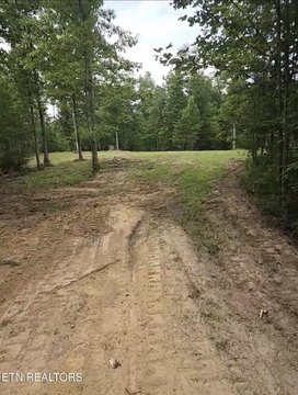 Partially Cleared Acreage Tract