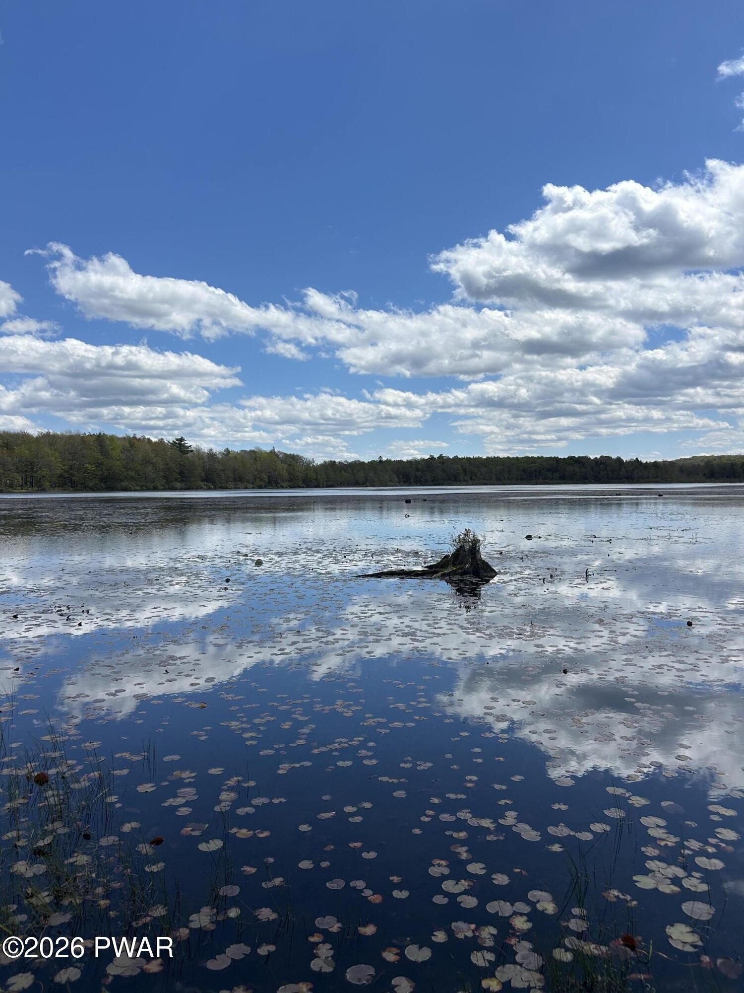Sportsman's Paradise with Lake Frontage