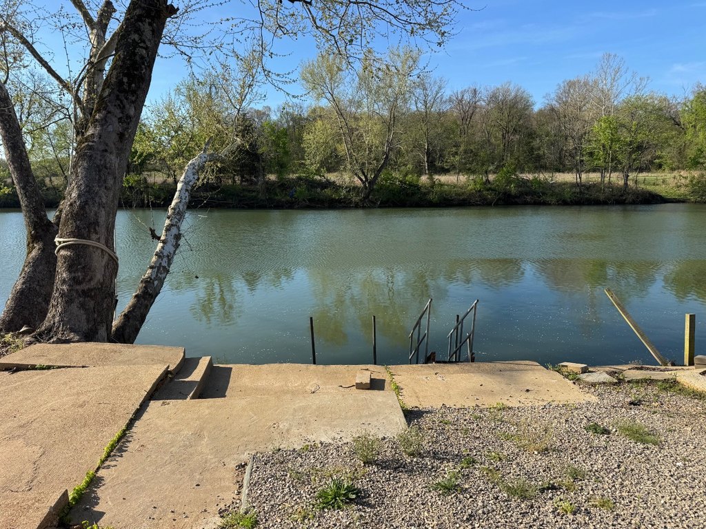 Picture 4