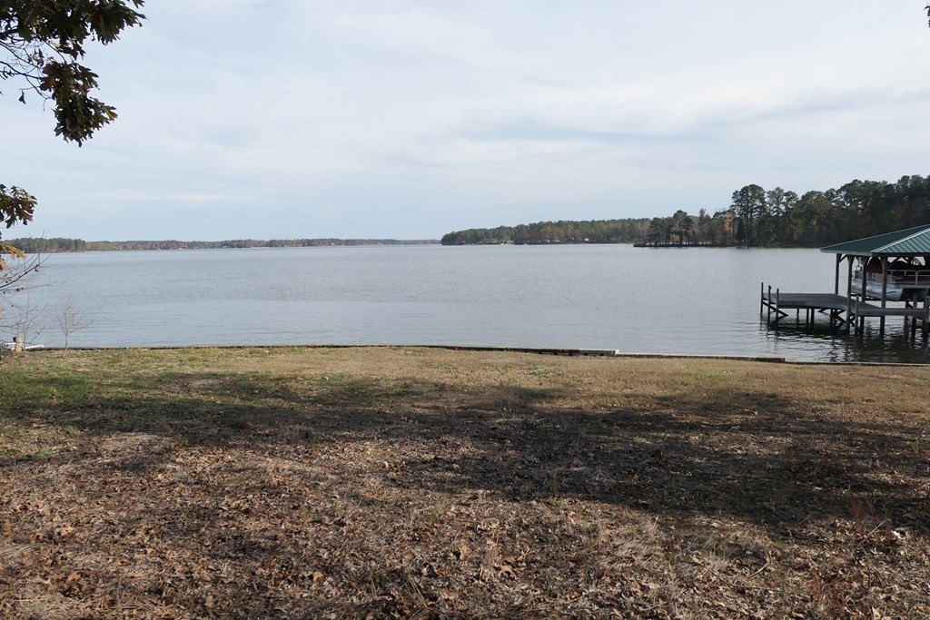 Picture 6