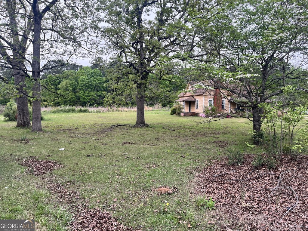Picture 18