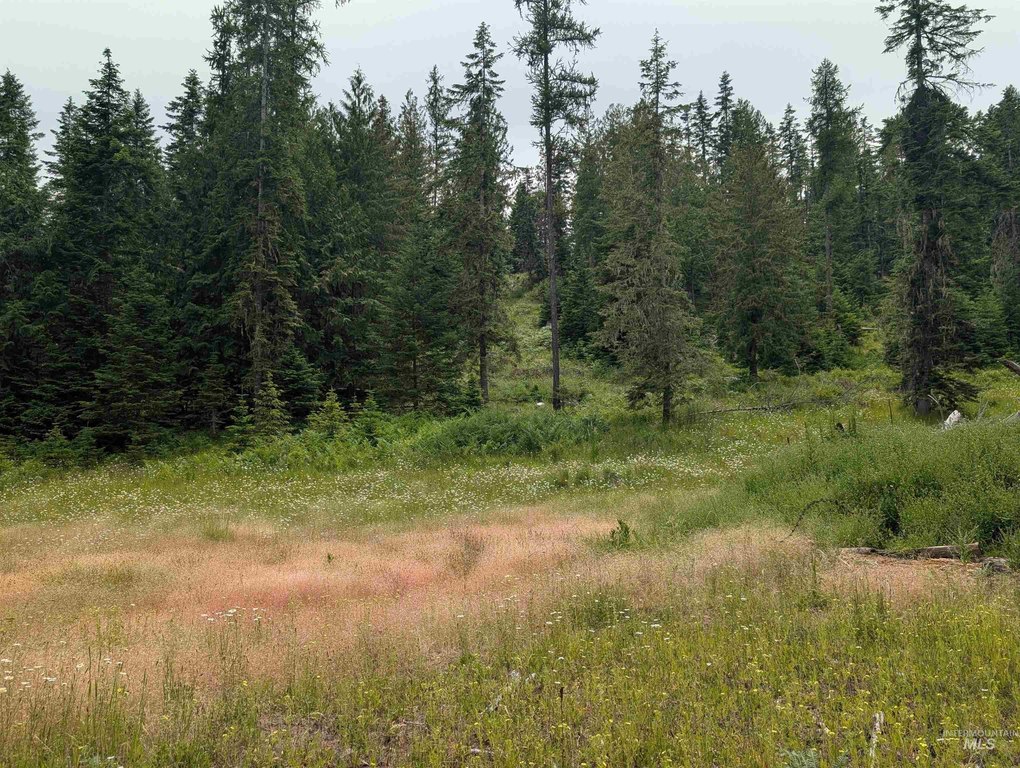 Picture 27