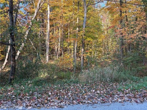Land, Kirtland, OH