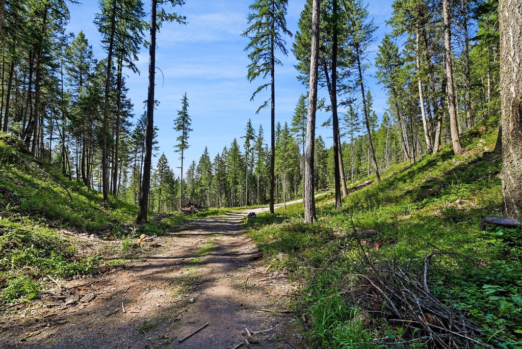 Picture 23