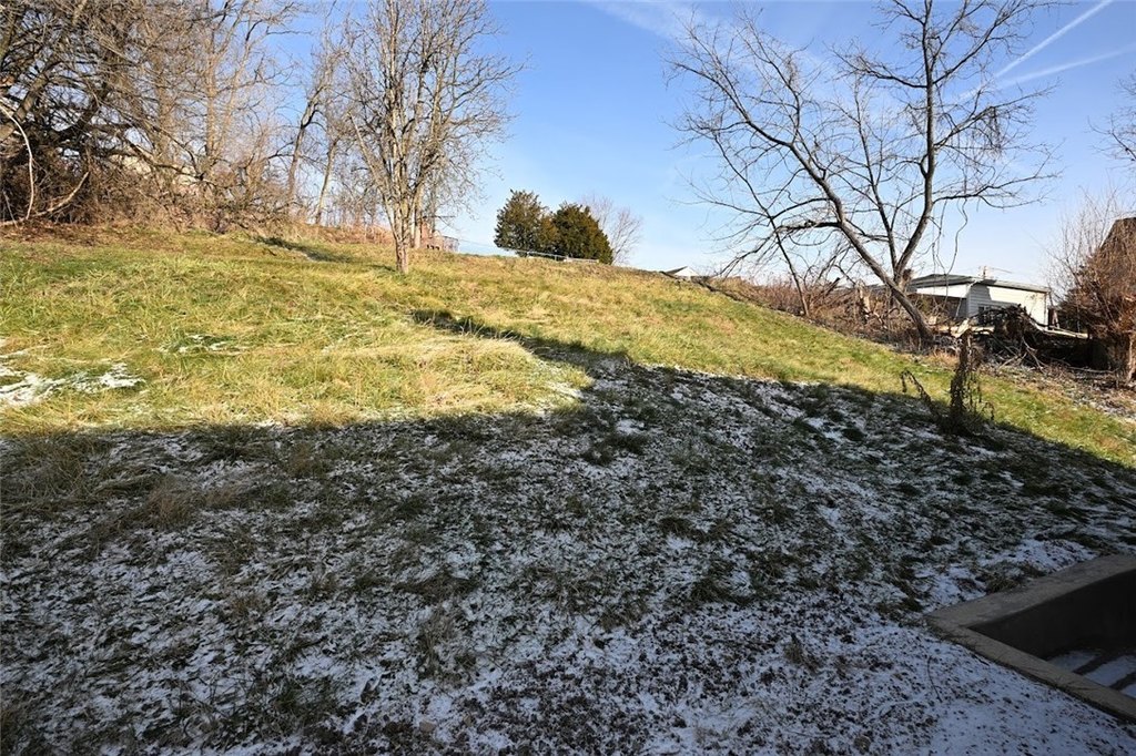 Picture 42