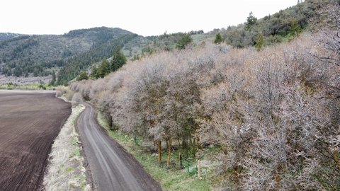 Recreation Land with Mountain Views