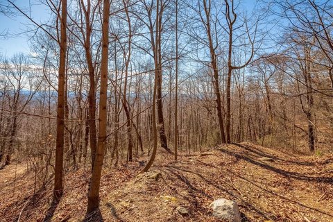 LAND - Fancy Gap, VA