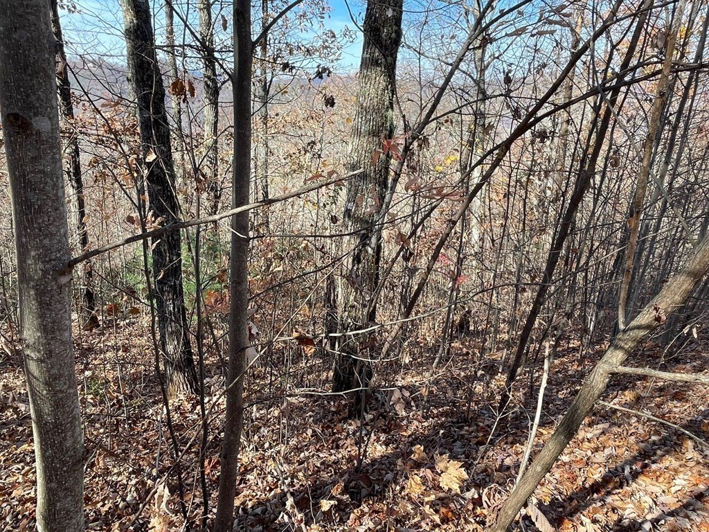 Picture 4