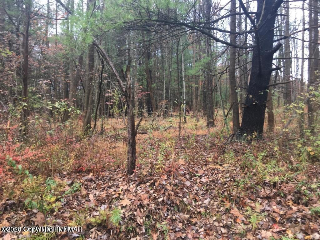 Residential Land in Wilderness Acres