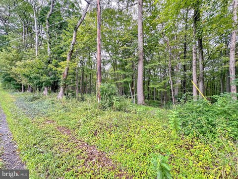 Lehighton Land Near Jim Thorpe