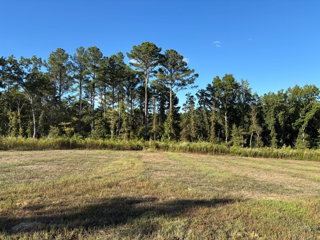 Picture 21