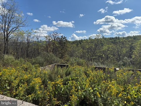 State College Building Lot