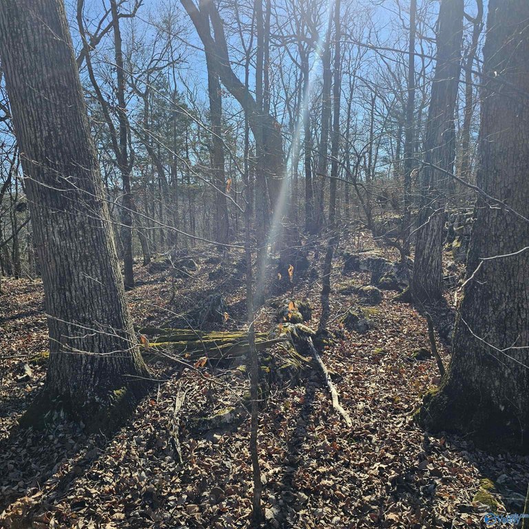 Picture 25
