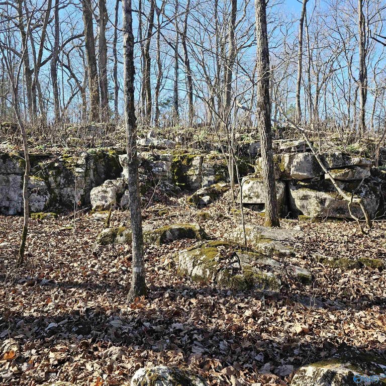 Picture 27
