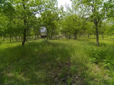 7 Acres Unrestricted Land