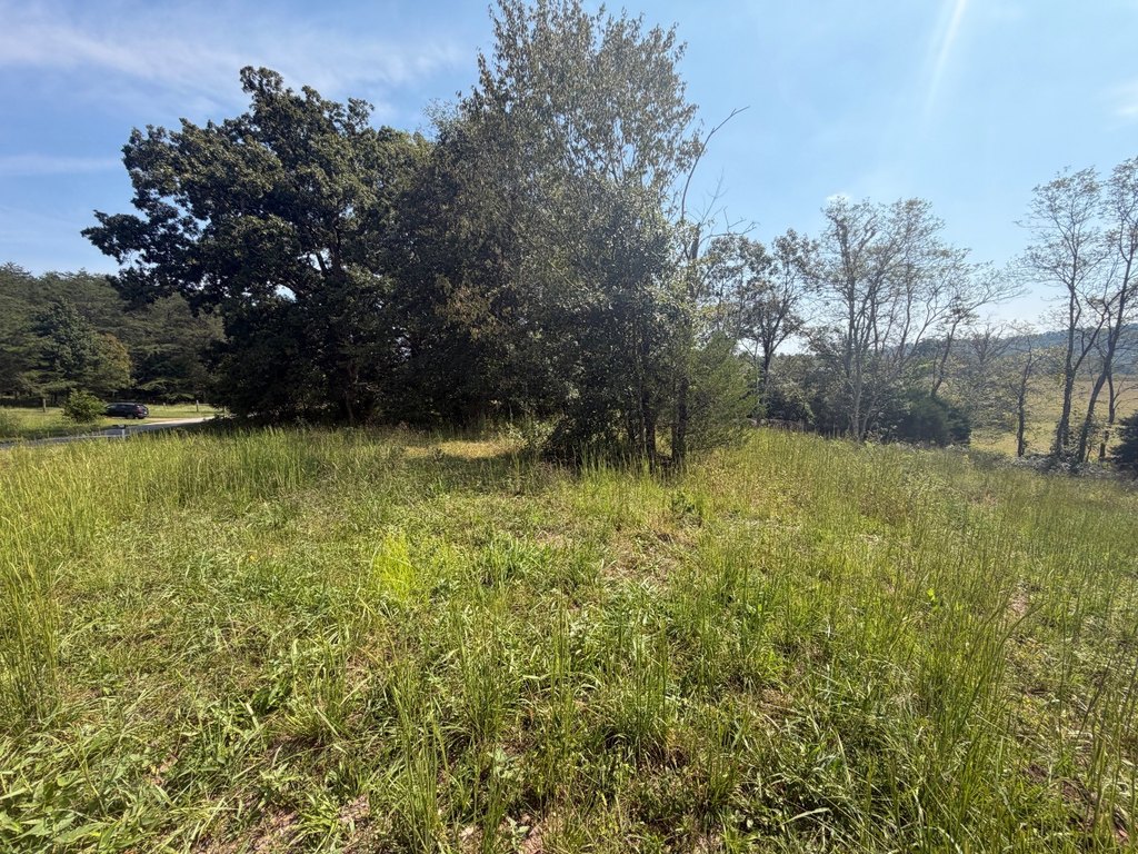 Picture 10