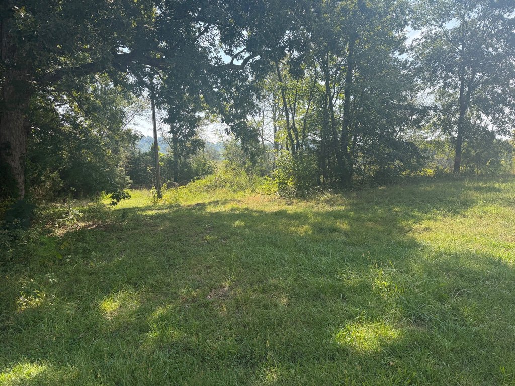 Picture 15