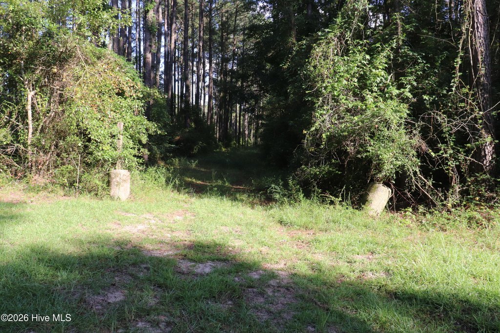 Picture 8
