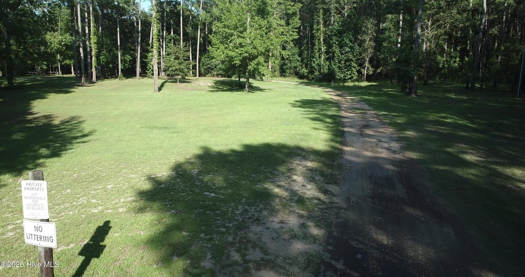 Picture 13
