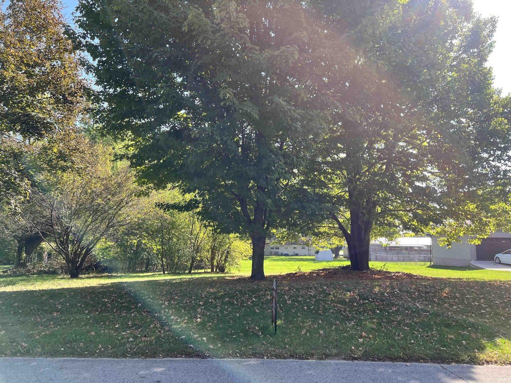Picture 4