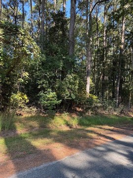 Residential Lot in Captain's Cove