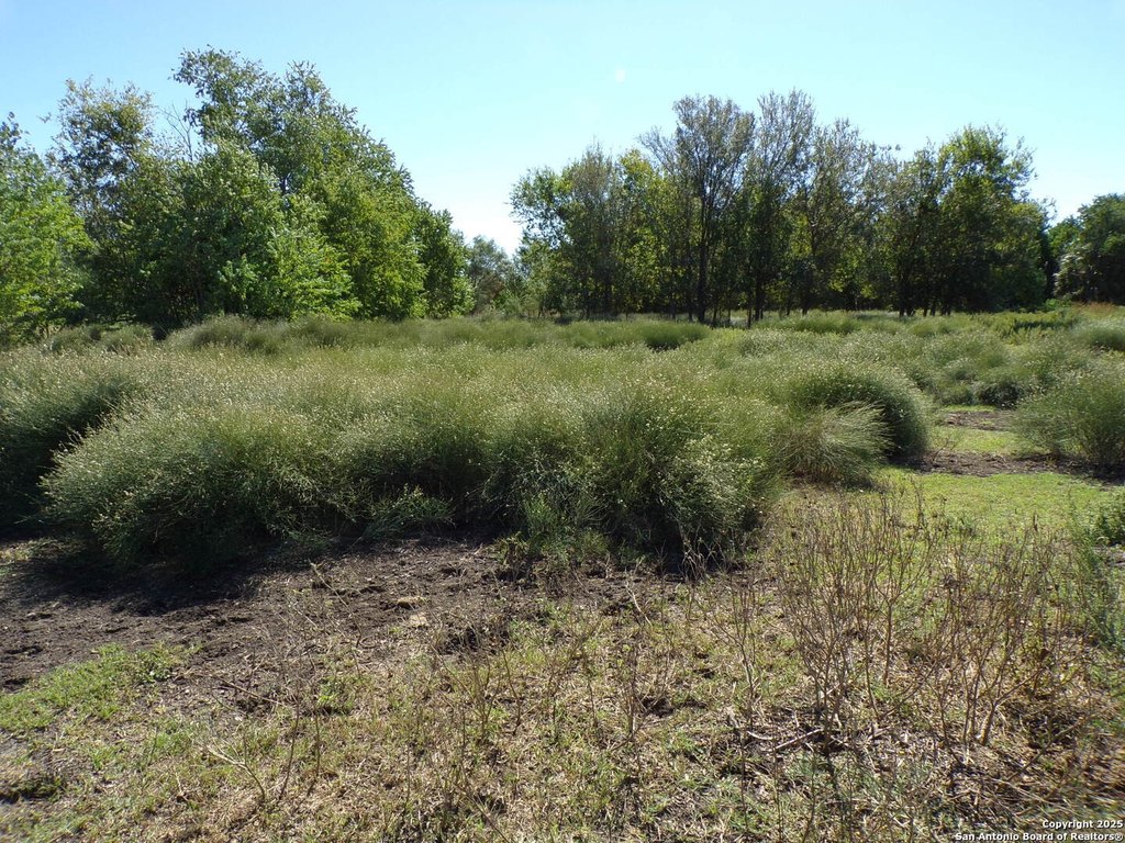 Picture 9