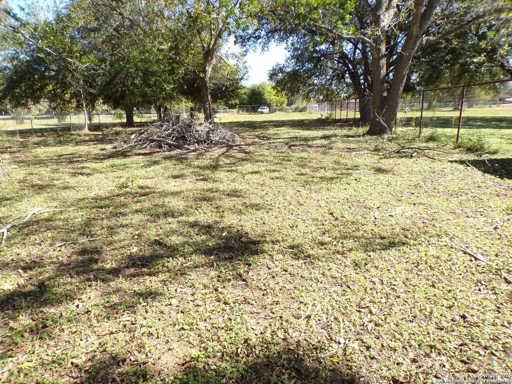 Picture 11