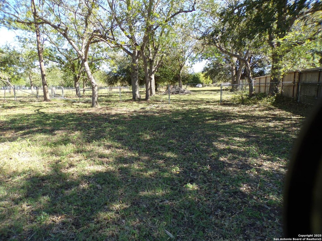 Picture 4