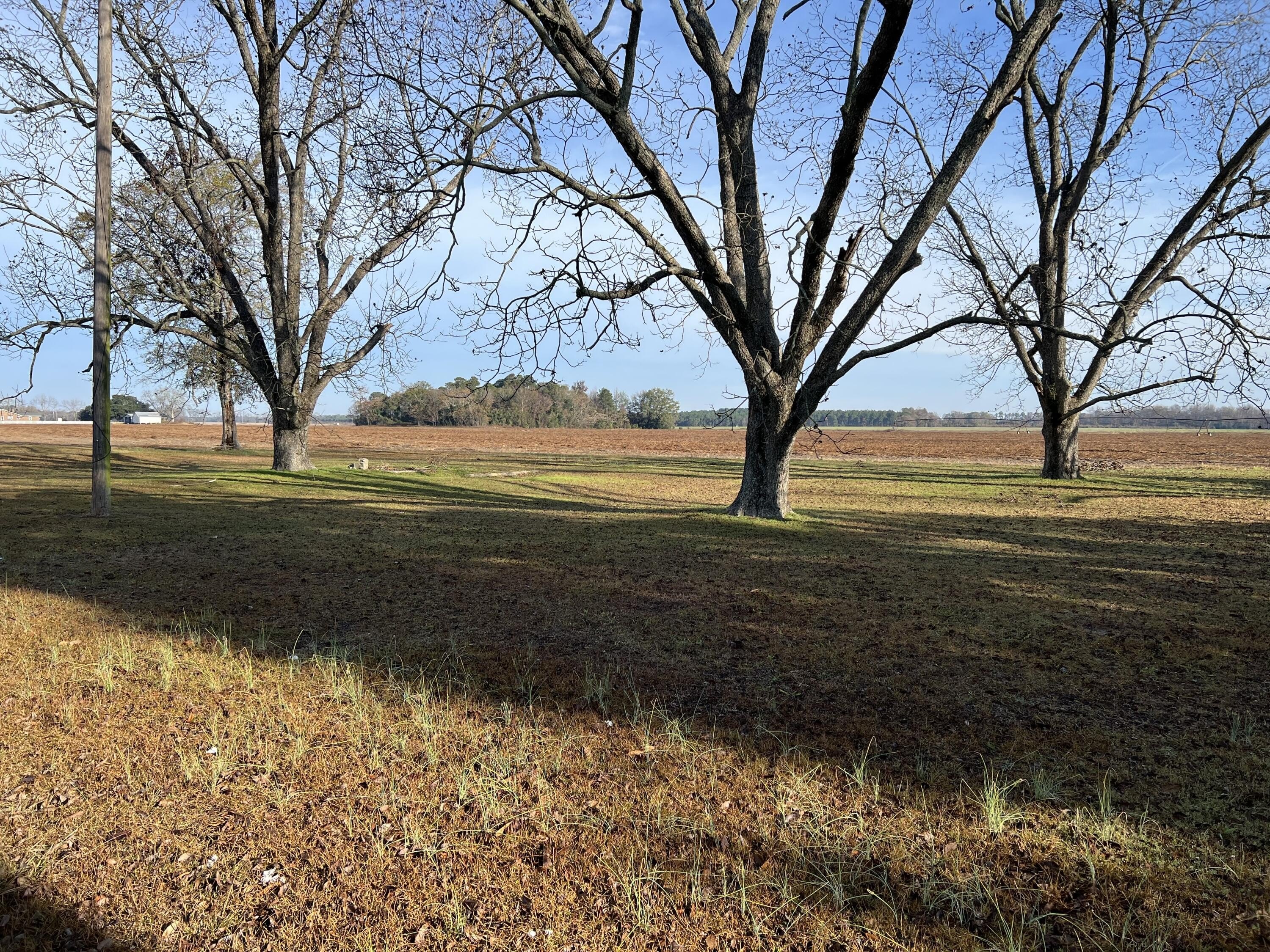Elloree Land Near Lake Marion